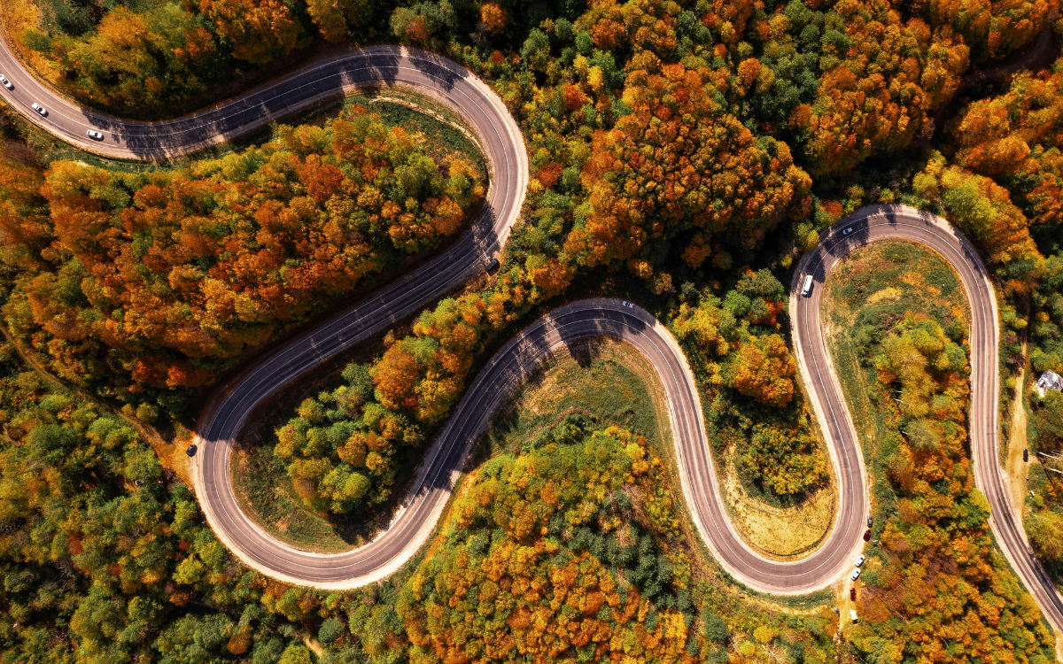winding road through fall foliage